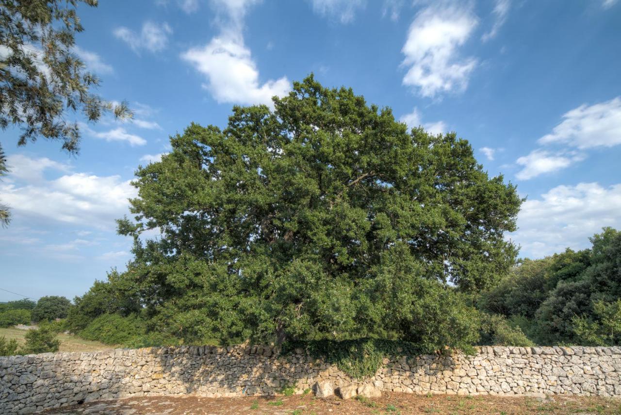 Вилла Trulli Capo Di Lupo By Rentbeat Чистернино Экстерьер фото